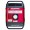 Honda EU3000iS  2800 Watt Electric Start Portable Inverter Generator CO MINDER 49 State