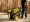 Champion 100111 - 12,000 Watt Electric Start Portable Generator (CARB)