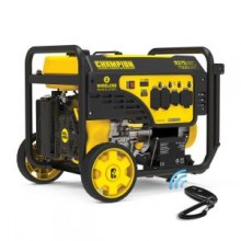 Champion 100812 - 5000 Watt Portable Generator (CARB)