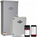 Briggs And Stratton 071211 100 Amp Outdoor Automatic Transfer Switch Service Disc with Amplify Power Mgmt InfoHub WiFi